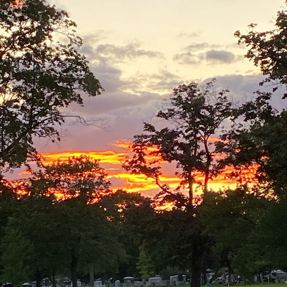 Meet your Posher, Sonya - Picture 5 of 9